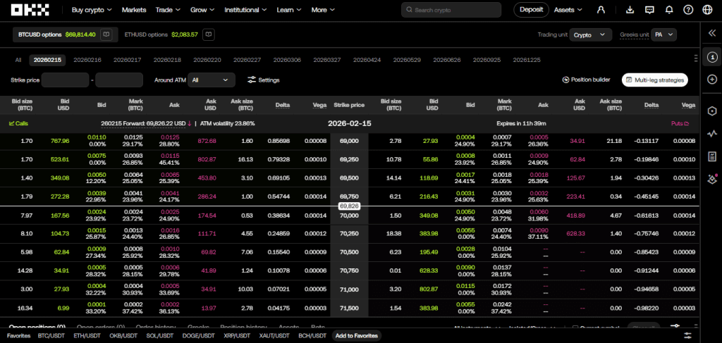 Options trading on the OKX cryptocurrency exchange: hedging and speculation tools