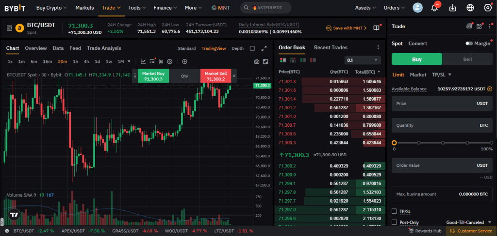 Bybit spot trading interface displaying cryptocurrency pairs and market orders