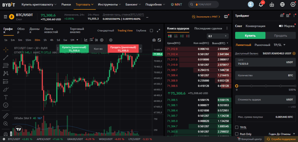 Торговый терминал спотовой торговли на бирже Bybit с графиками, ордерами и торговыми парами